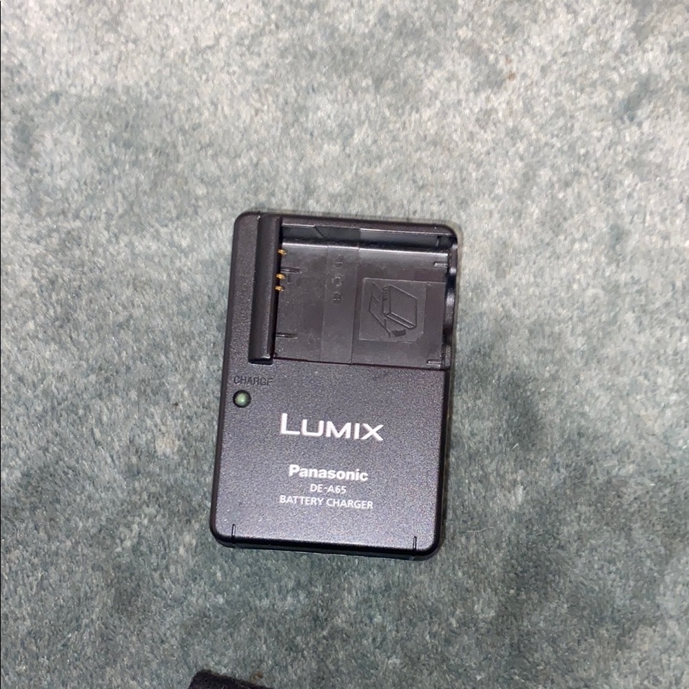 Panasonic Lumix Black Battery Charger